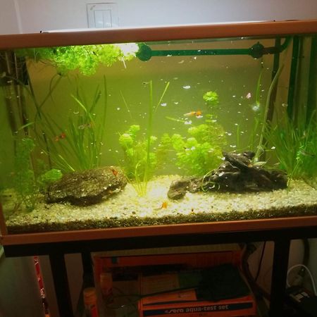 Apartament Duplex Lujo Leioa Zewnętrze zdjęcie